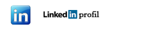 LinkedIN-iconSK